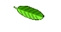 G�stebuch