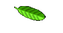 J�r�me